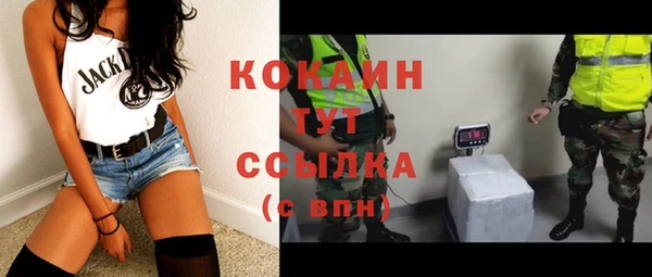 PSILOCYBIN Няндома