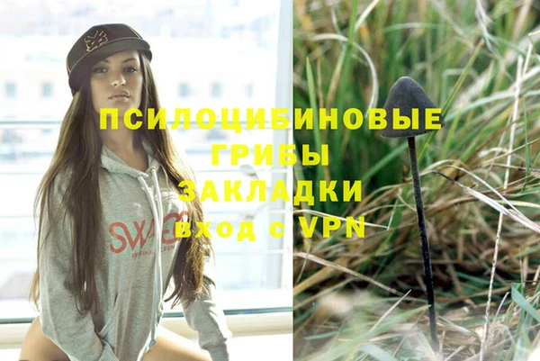 меф Нягань