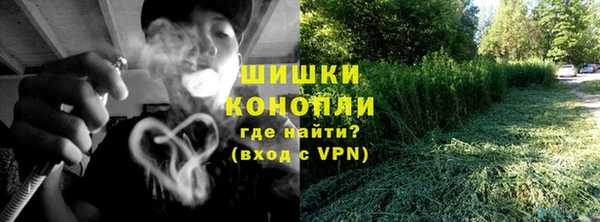 PSILOCYBIN Няндома