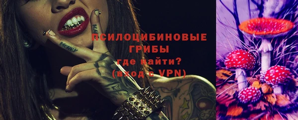 apvp Нязепетровск