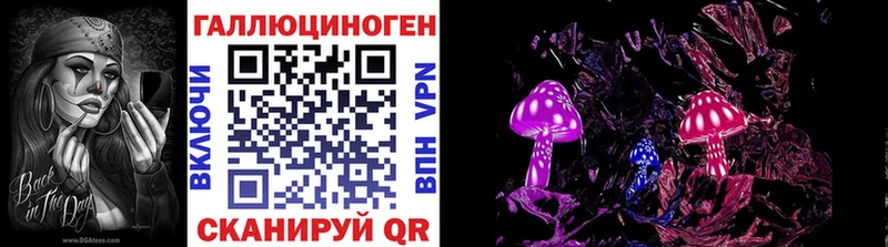 Псилоцибиновые грибы Cubensis  Северо-Курильск 